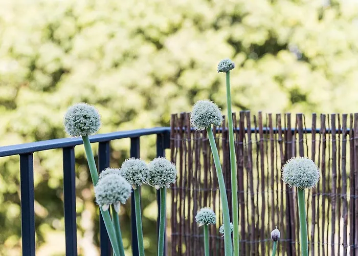 Apartment Guestready - One Step Closer